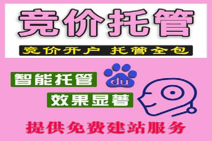 SEM主管实战经验：案例分析及反思